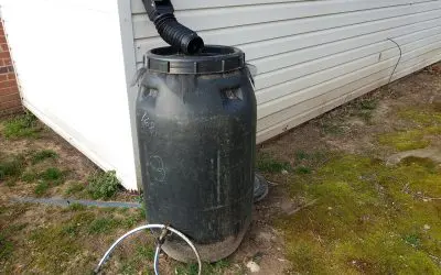 Water-Wise Living: 10 Practical Methods to Save Water at Home