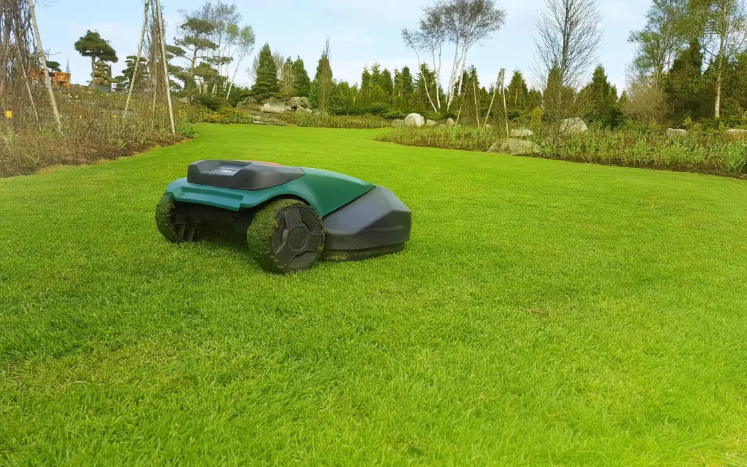 Top 10 Spring Lawn Maintenance Essentials