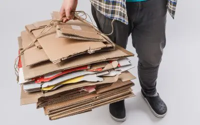 Sustainable Living Practices At Home