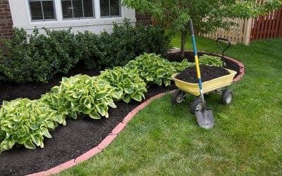 Easy Summertime Home Maintenance Projects