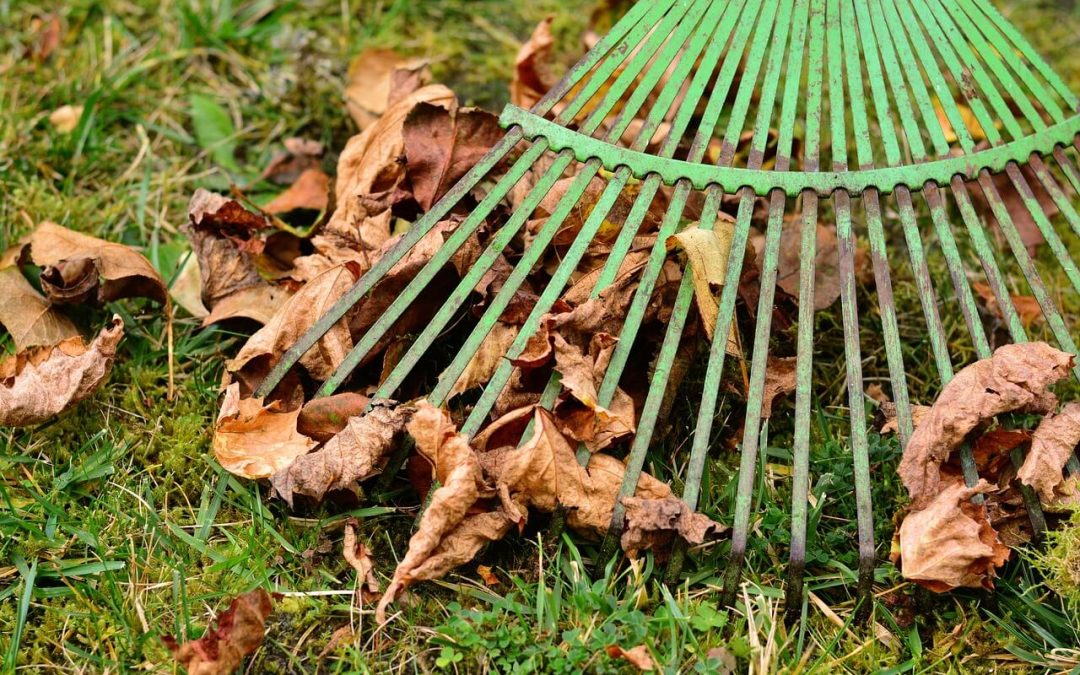 4 Essential Outdoor Home Maintenance Tasks